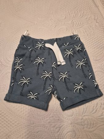 Kurze Hose Palmendruck neu Grösse 74