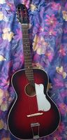 Guitar Vintage