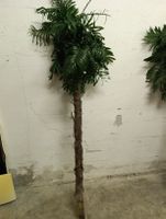 Plastik Palme Deko