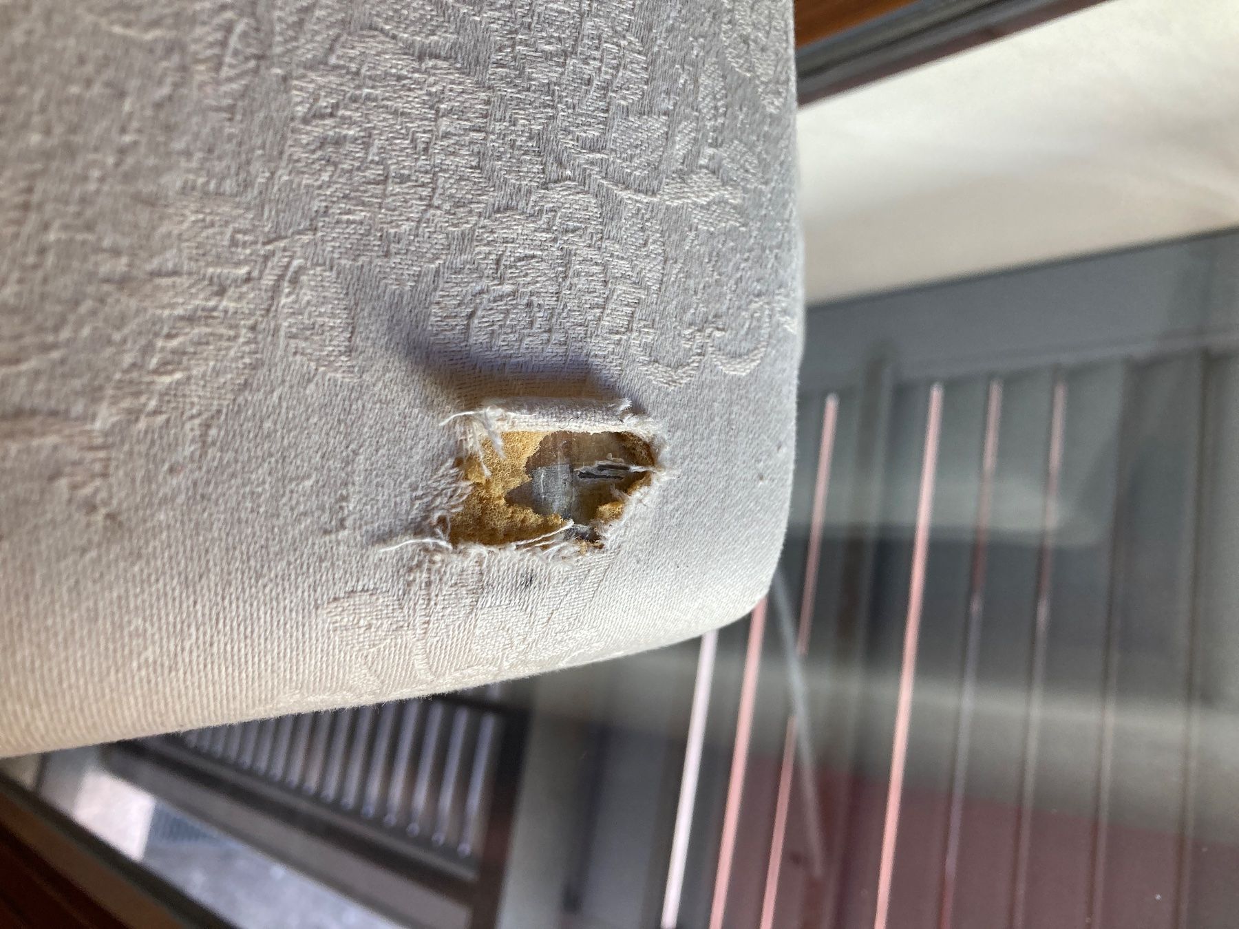Letti: Letto elettrico Superba – Usato da Bellinzona venduto da chr_b8gp 4
