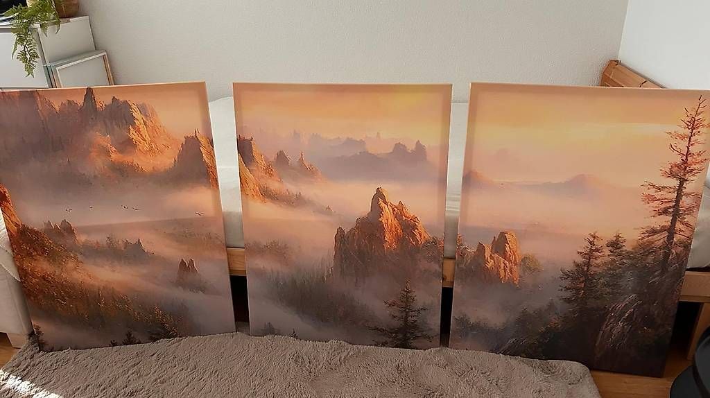 Foto & Immagini: Neu Bild 3- Teilig ca. 60 x 80 je Teil.  – Usato da Rothrist venduto da tro_567r