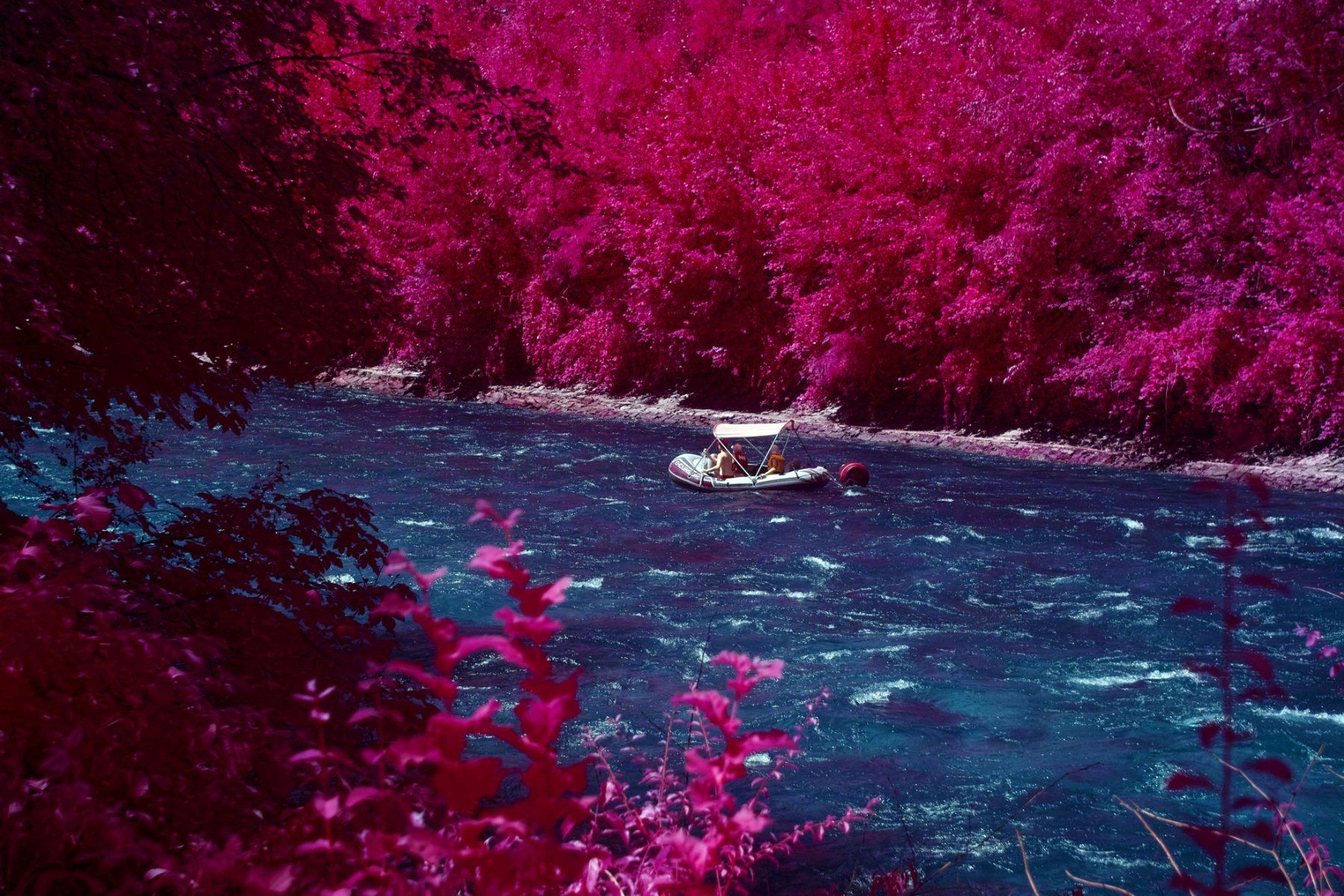 Sigma Fotocamera: Aerochrome Infrared Sigma SD1 Komplett – Usato da Thun venduto da HiddenRealmsCH 1
