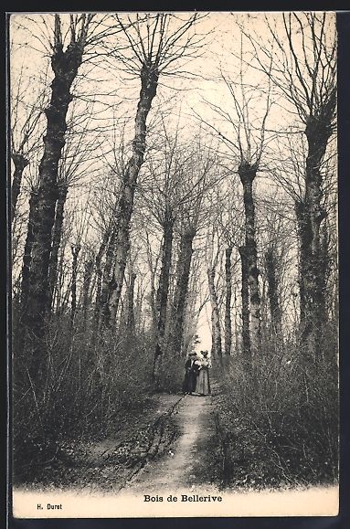 Ansichtskarten: AK Geneve, Bois de Bellerive, 1912 – Gebraucht aus Berlin von bartko-reher