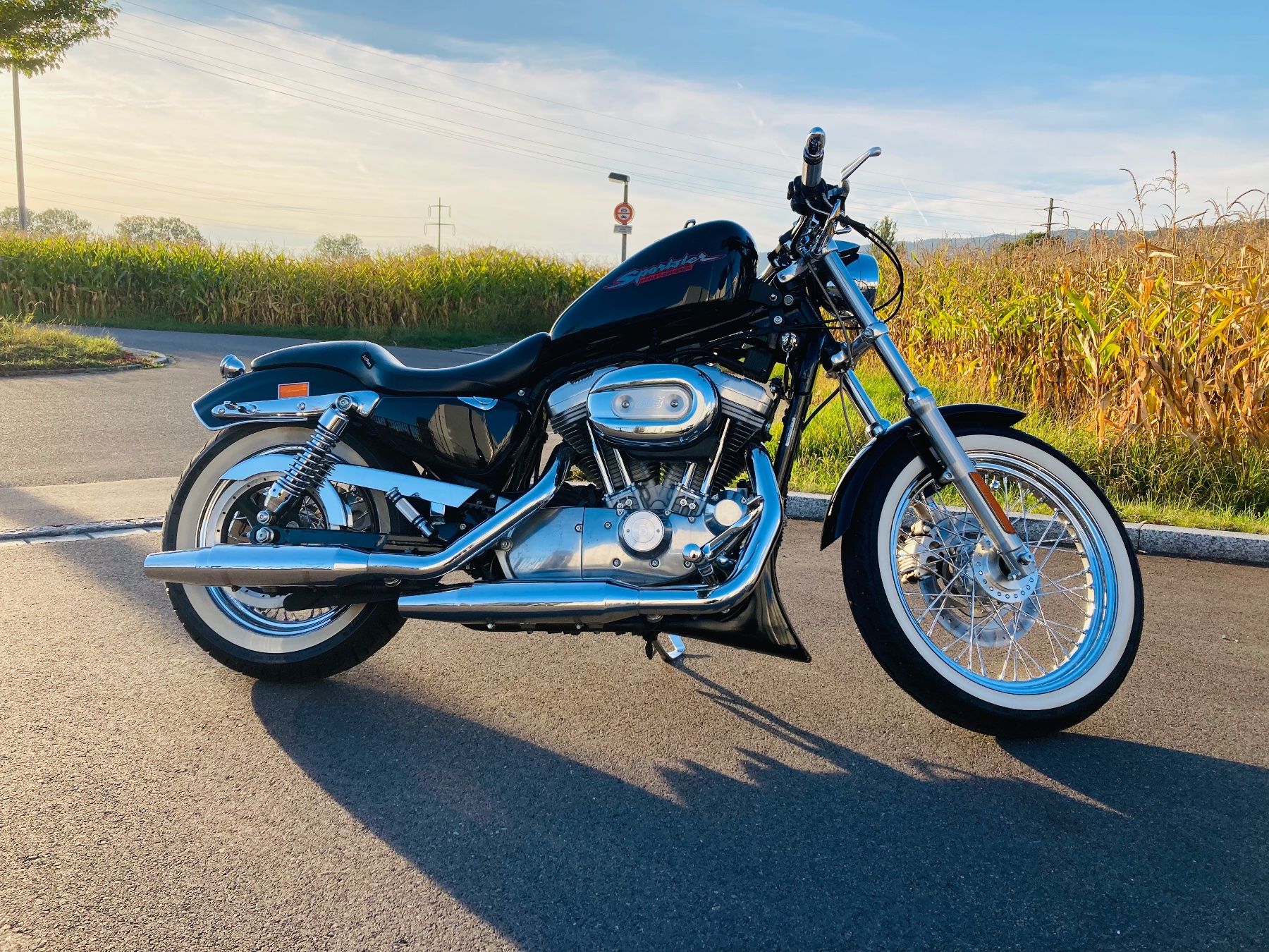 Harley-Davidson Chopper: Harley Davidson Sportster 883 – Gebraucht aus Niederweningen von Claritine 1