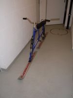 SKIBOB  Flachsmann Equipe