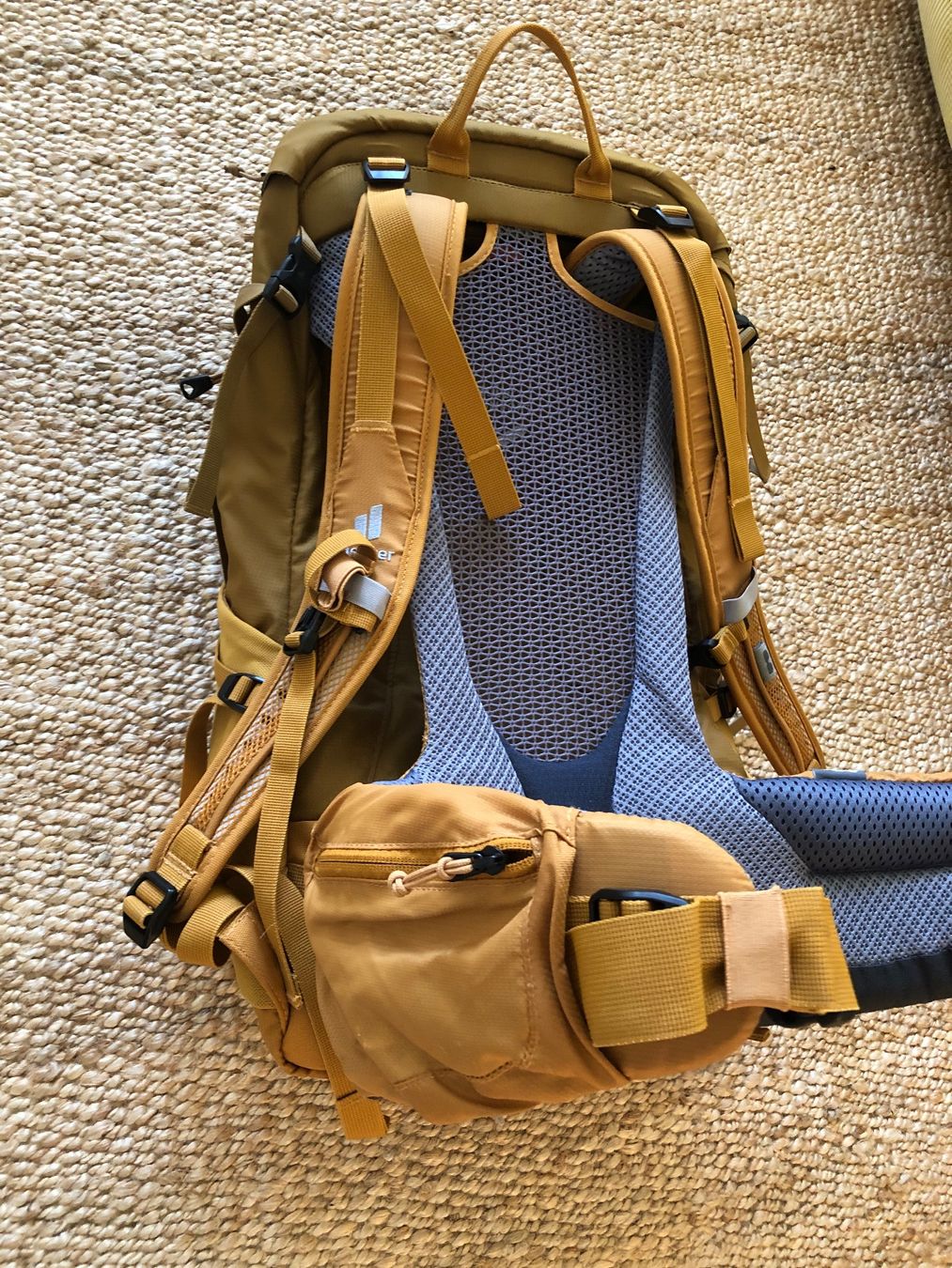 Deuter Zaini: Rucksack Futura Pro 36 – Usato da Zürich venduto da springsummer 2