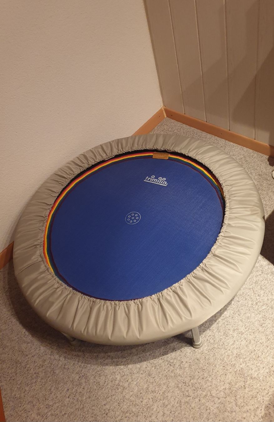Trampolini: Top Trampolin der Marke Trimlin – Usato da Füllinsdorf venduto da Nalin25