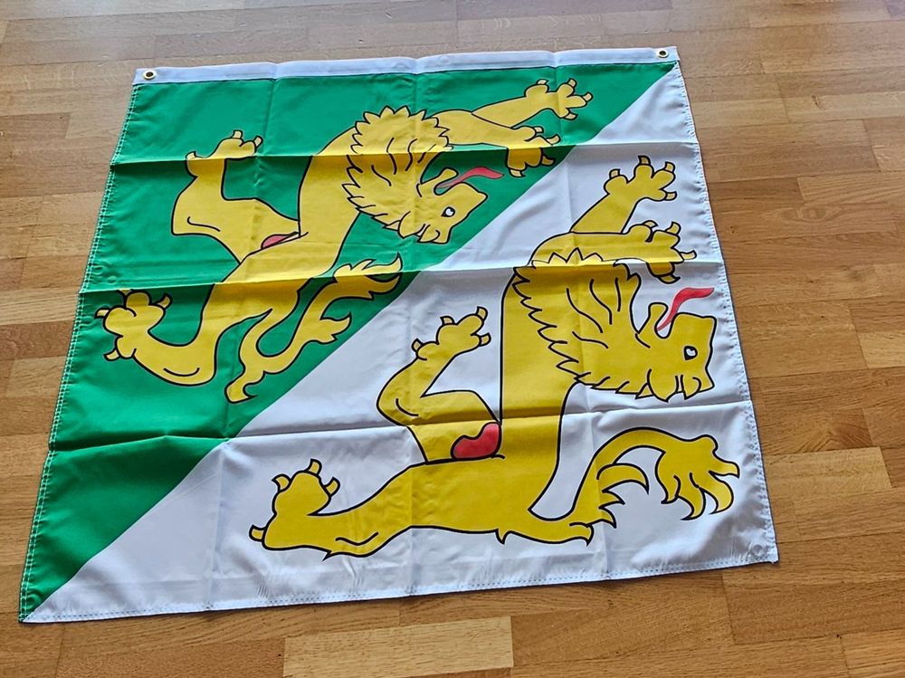 Fahnen: Thurgauer Kantonsflagge, Neu und Originalverpackt, 90x90cm – Neu und originalverpackt aus Kreuzlingen von UAE 5