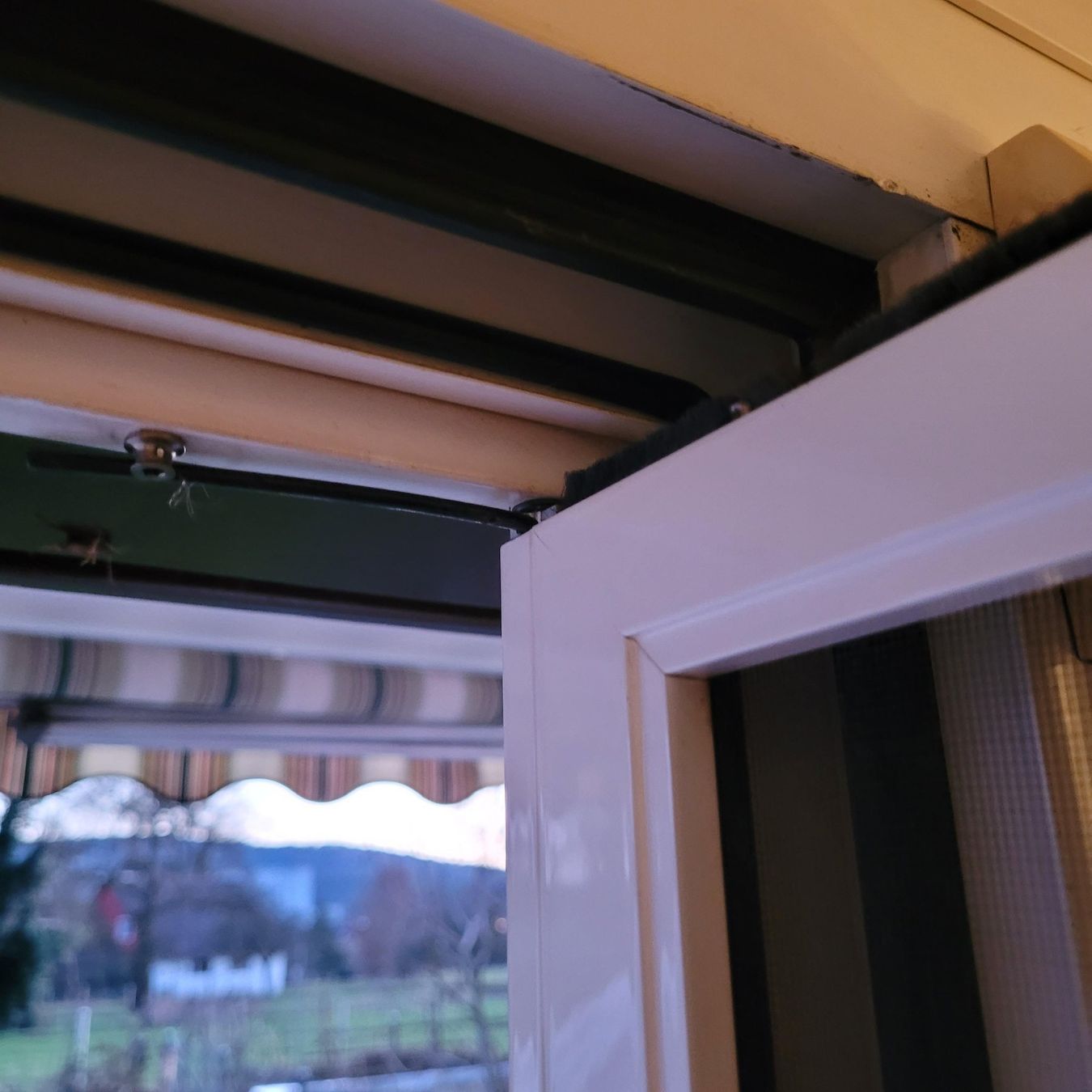 Porte: Insekten-Schutz - Schwingtüre – Usato da Dottikon venduto da Network01 2