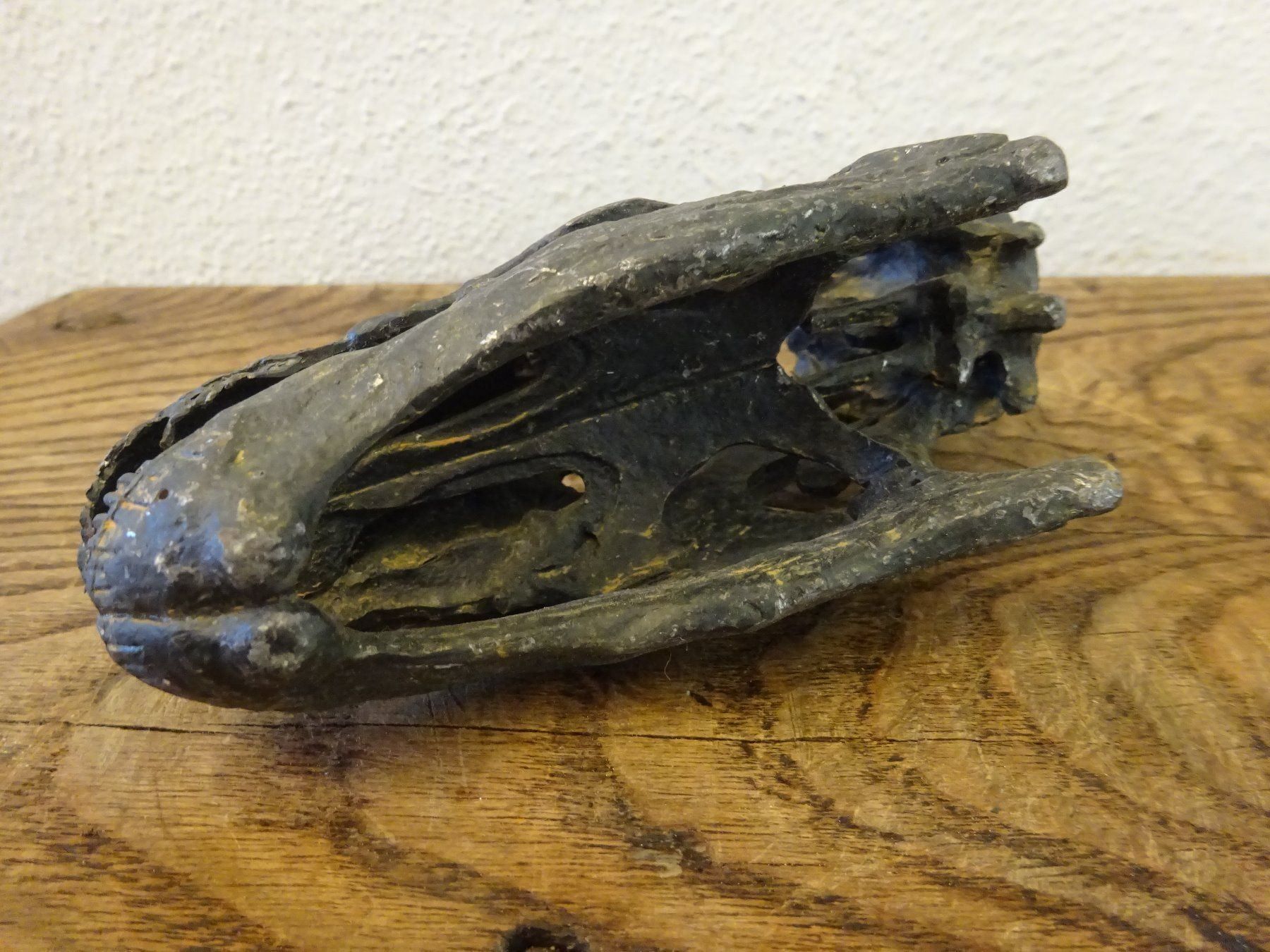 Fossili: Schädel Saurier – Usato da Esslingen venduto da eintagammeer 6