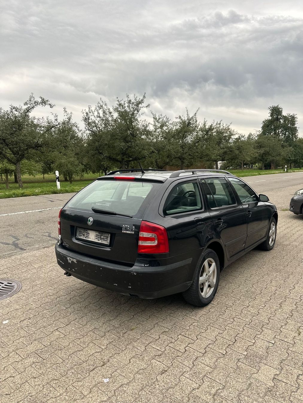 Skoda Automobili: Skoda Octavia Combi 4x4 – Usato da Zuckenriet venduto da DGZ2020 3