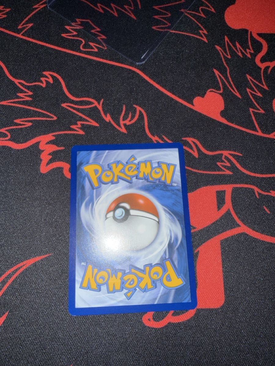 Pokémon Carte collezionabili: Zwirrklop Meister Ball – Nuovo (secondo la descrizione) da Basel venduto da ari_s727 1