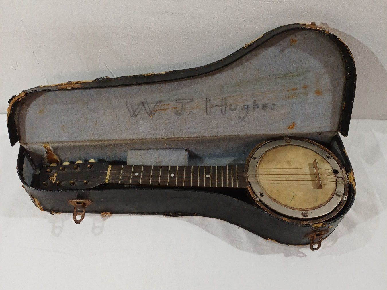 Strumenti musicali: Mandolinenbanjo – Usato da Luzern venduto da IG_Arbeit 7