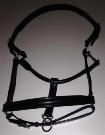 Briglie & Cavezze: Pferde-Lederhalfter "Kent" schwarz Full – Nuovo e nell'imballaggio originale da St. Gallen venduto da schnaeppchen-preise 1