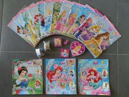 15x Princesse & accessoires excellent état!