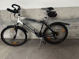 Schwinn Evolution Mountainbike - Top Zustand