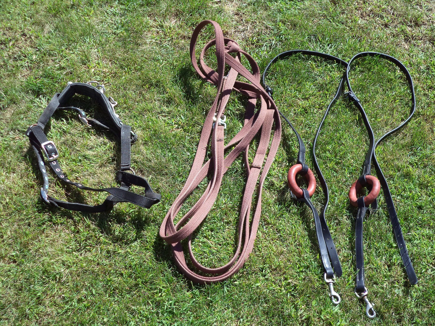 Selle & Accessori: SELLE à usage général 43 cm avec lot d'équipement – Usato da Champéry venduto da ced_vlj6 8