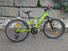 Kinder Mountainbike Wheeler Junior 200 grün gebraucht