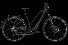 NEU E-BIKE FLYER 45KM/H | 95NM & 750WH FIT PANASONIC