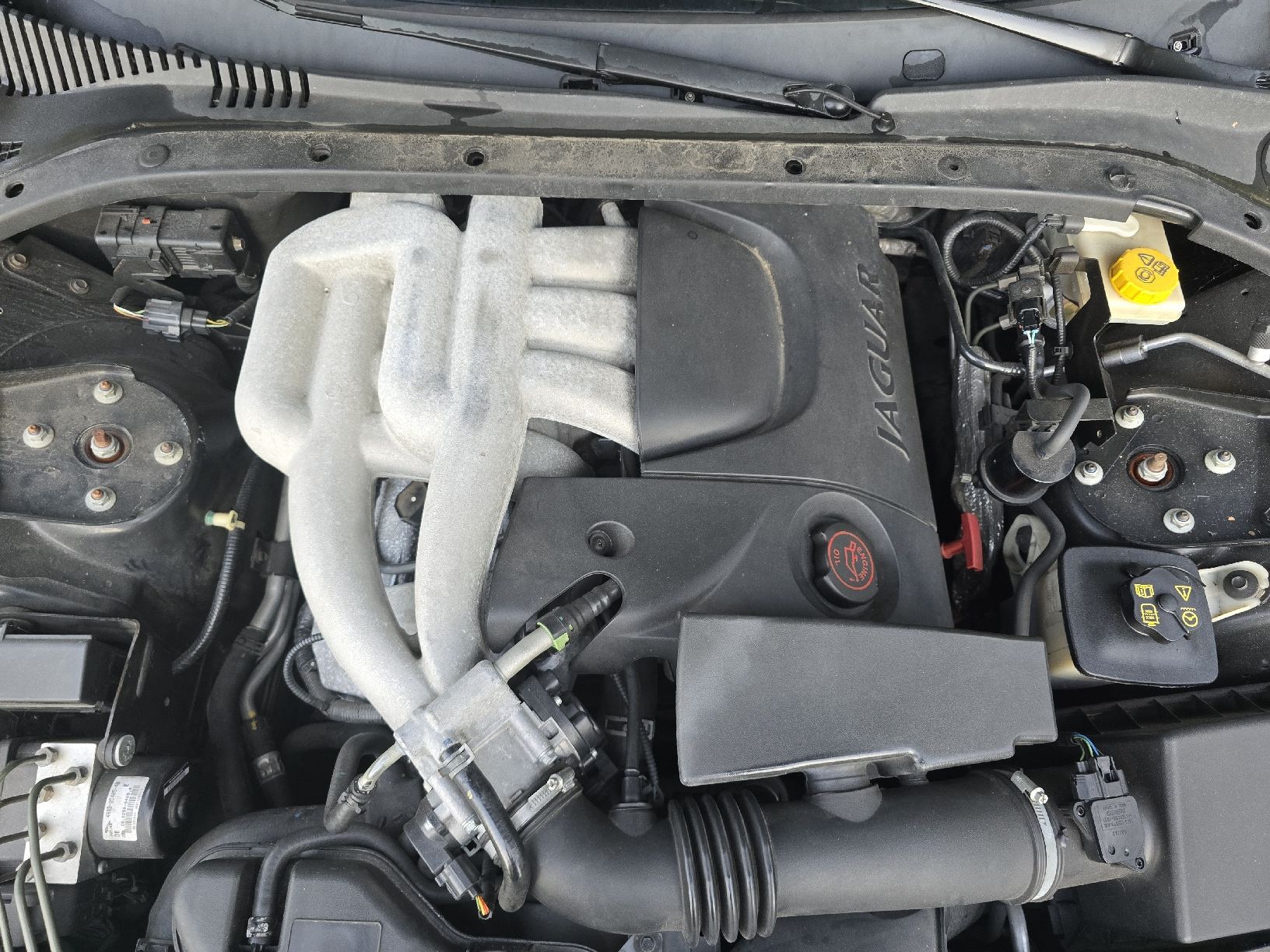 Jaguar Automobili: Jaguar S-Type 3.0V6 ab Platz – Usato da Kesswil venduto da maxx06 6