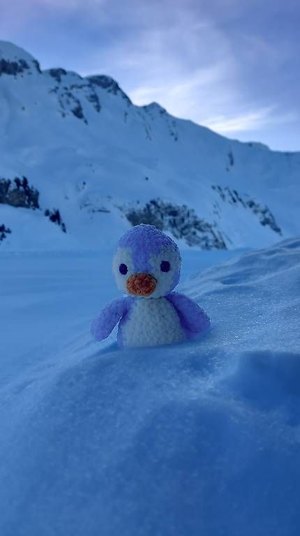Giocattoli: Gehäkelter Pinguin – Usato da Meiringen venduto da Flauschfarm 4