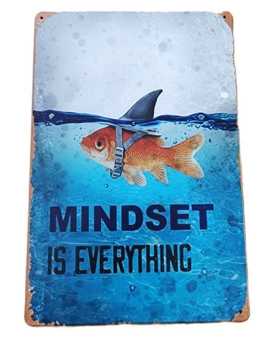 Schilder: MINDSET IS EVERYTHING - Blechschild  (neu/OVP) – Neu und originalverpackt aus Wilen b. Wollerau von morethanmusic
