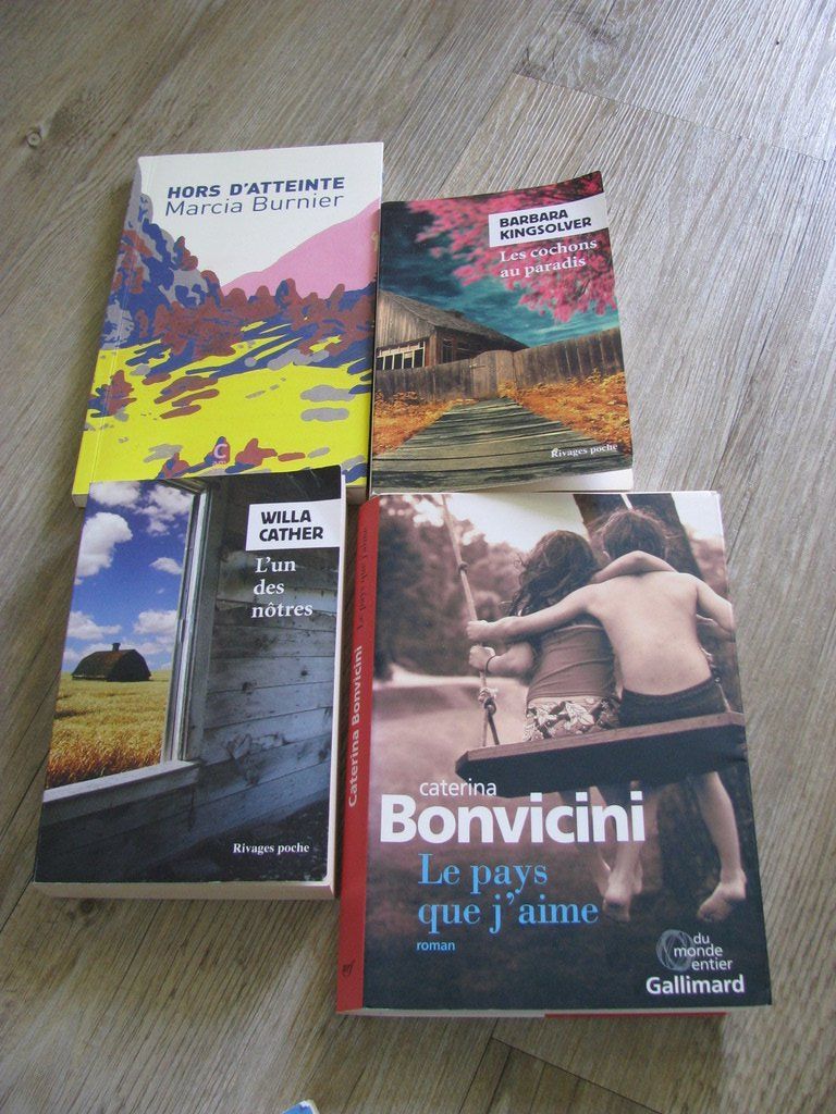Libri: Lot de 8 Romans : Bonvicini, Hope, etc... – Usato da Zweisimmen venduto da Domii 2