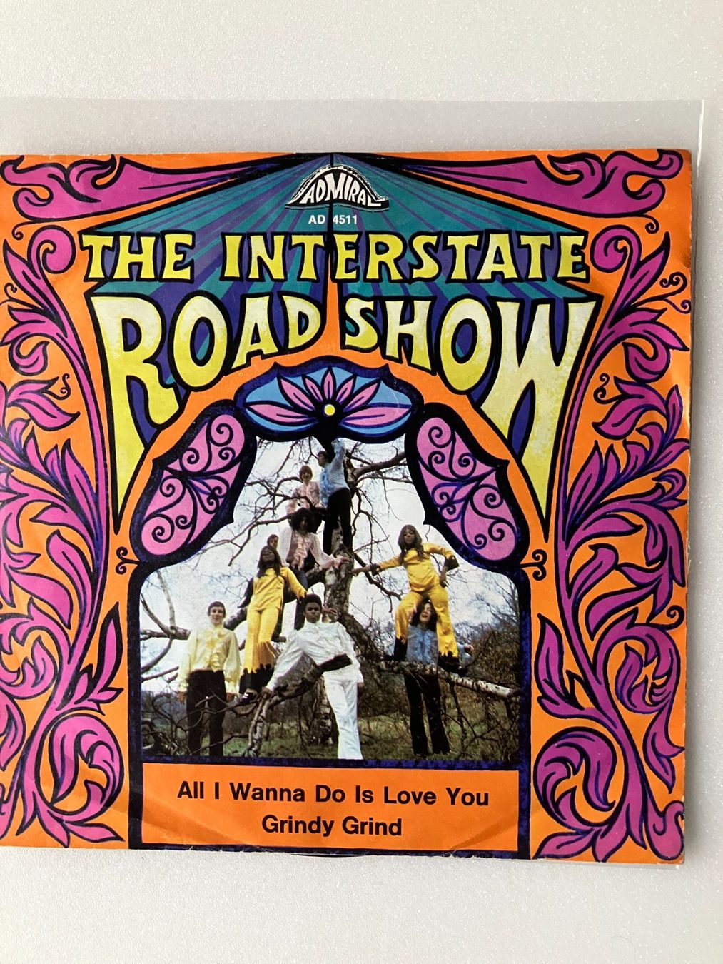 Dischi in vinile: The Interstate Road Show – Usato da Aarwangen venduto da Jukebox3