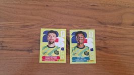 Panini FIFA World Cup WM 2026 / AUS8 18