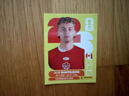 Panini Sticker CAN 14