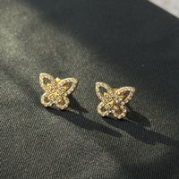 18KGP Goldene Schmetterling Ohrstecker aus Edelstahl 
