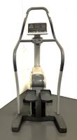 Technogym Studio-Stepper – Top-Zustand, voll funktionsfähig