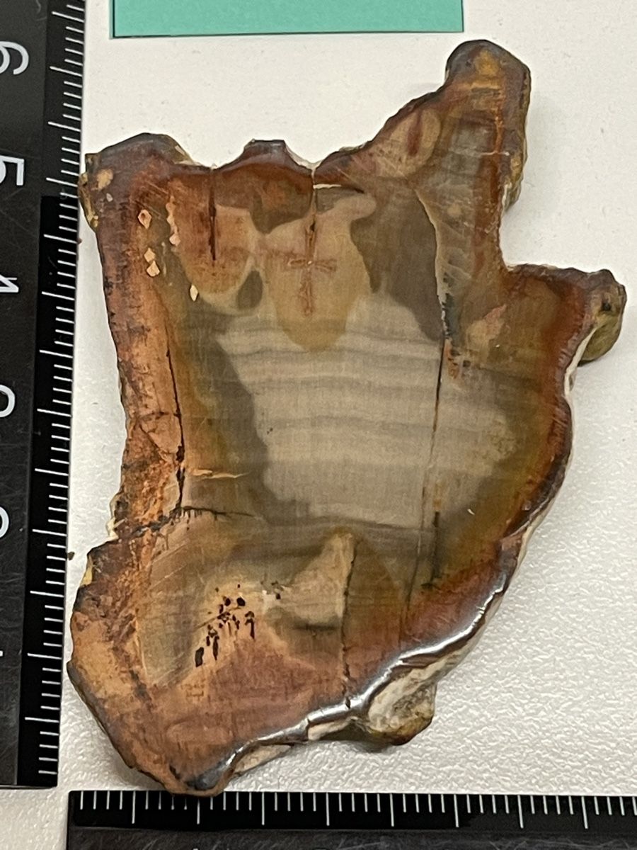 Minerali & Pietre curative: Heilstein / versteinertes Holz / Edelstein – Usato da Rümlang venduto da euqinom16 1