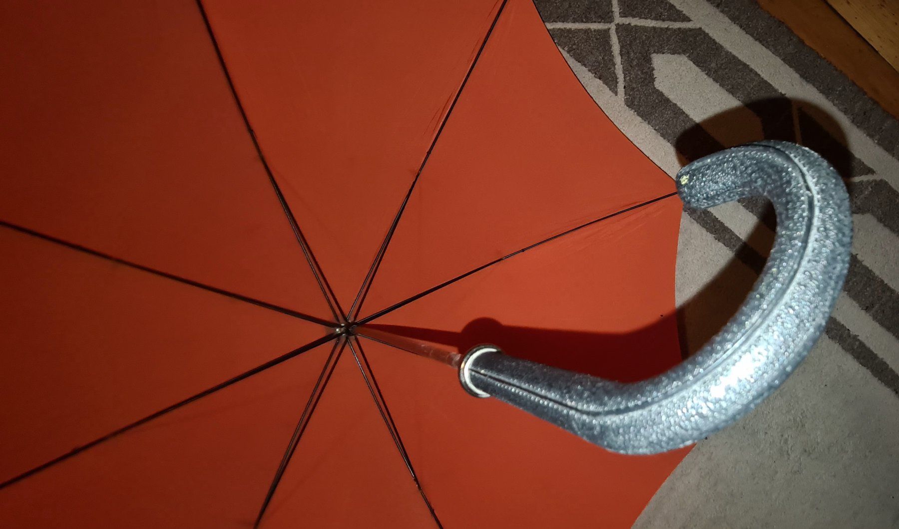 Ombrelli: Parapluie vintage CFF – Usato da Cortaillod venduto da signep 1