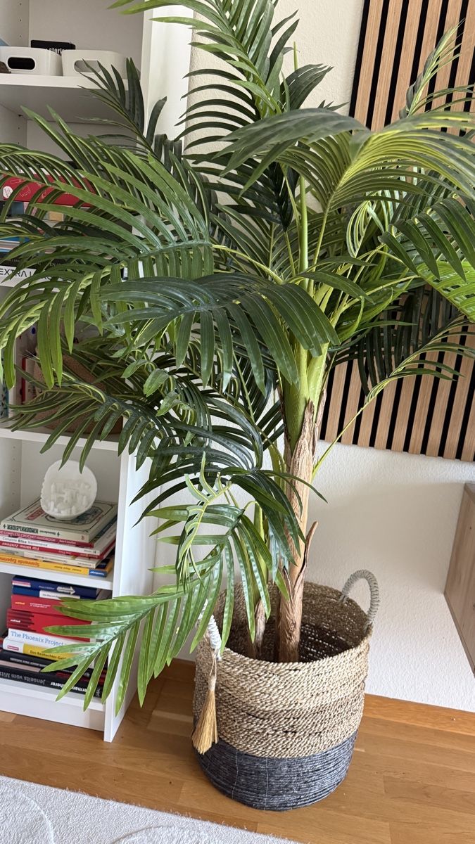 Plantes & graines: Grosse Kunstpflanze – D'occasion à Zürich par shopping.basket