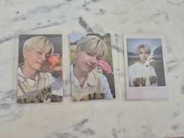 Jay - Enhypen Orange Blood Photocard Set