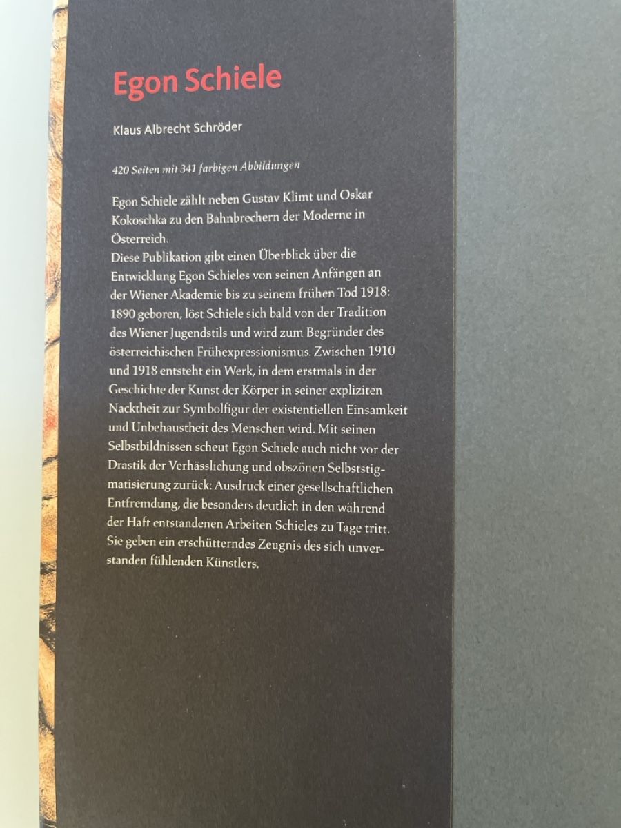 Libri: Egon Schiele -  Bahnbrecher der Moderne – Usato da Schlieren venduto da tagesanzeiger50 1