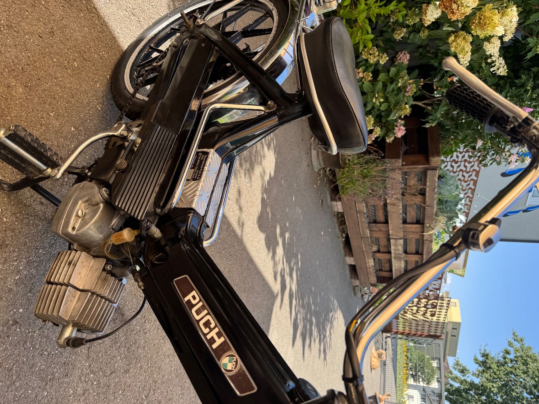 Puch Mofas: Maxi Puch N – Gebraucht aus Widnau von tgossi 5