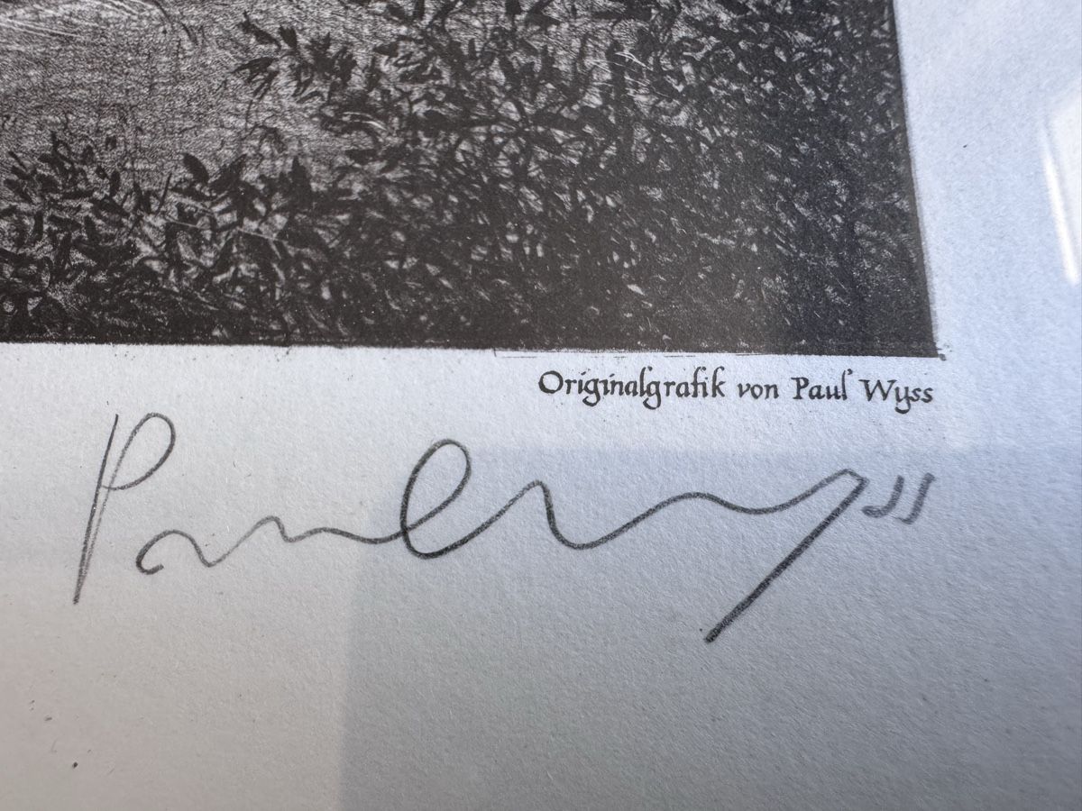 Poster & Bilder: Originalgrafik "Brunnadern" Paul Wyss  – Gebraucht aus Niederbüren von Oetschli 1