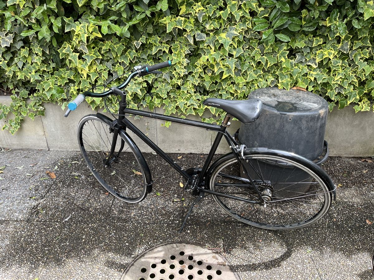 Siech Biciclette: Siech Velo – Usato da Zürich venduto da dtrueb 1