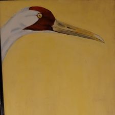Profile image of Lizi7