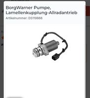 BorgWarner Lamellenkupplung-Allradantrieb Haldex Pumpe 