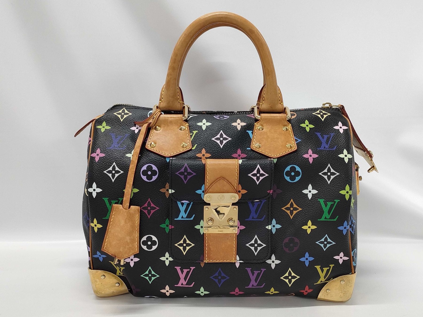 Louis Vuitton Borse da donna: Louis Vuitton Speedy Multicolor, Limited Edition – Usato da St. Gallen venduto da Love_Luxury