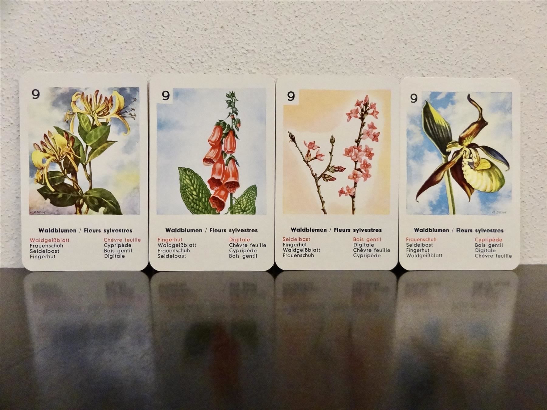 Giochi: altes Quartett BLUMEN-QUARTETT BLUMEN – Usato da Kerzers venduto da wisaundso 9