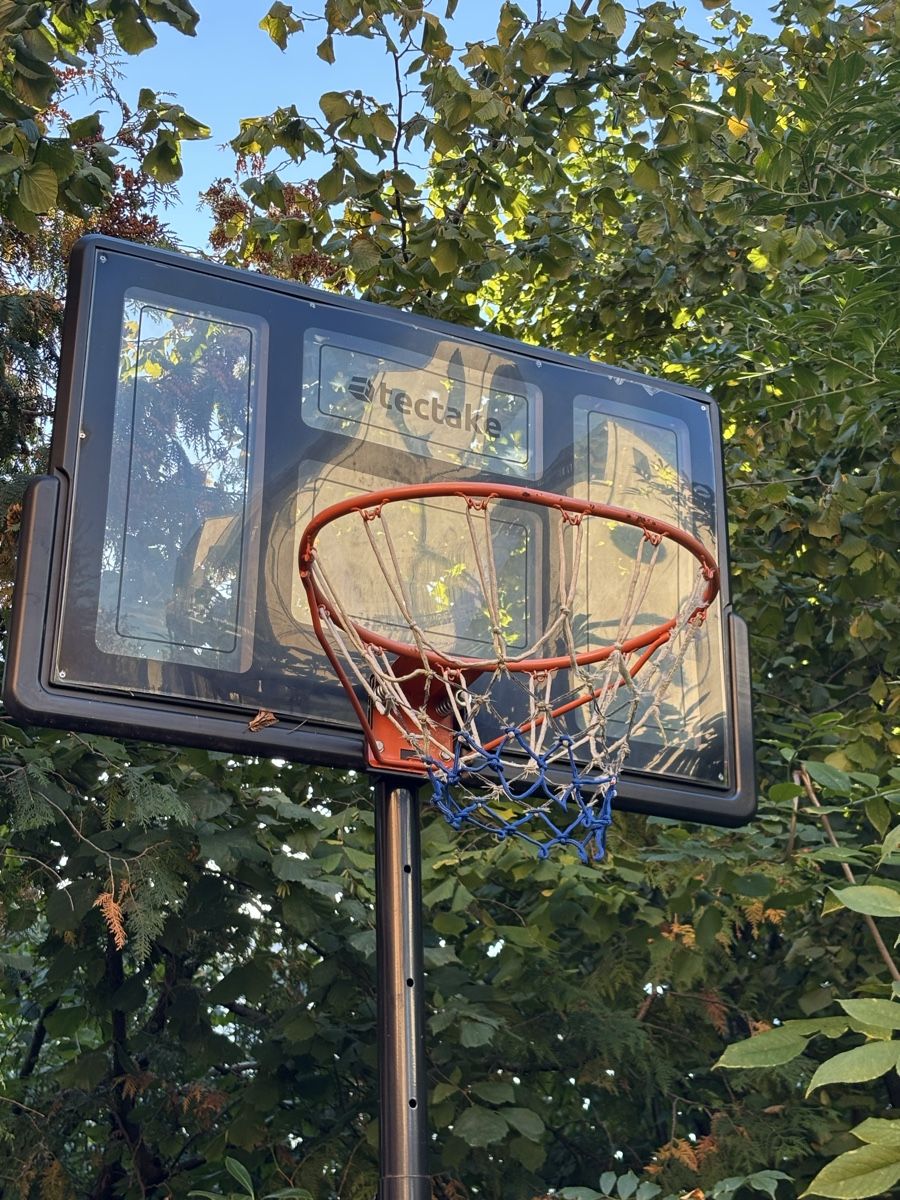 Canestri da basket: Basketballkorb – Usato da Zürich venduto da Tabledance 1