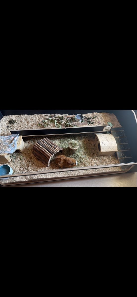 Cages, transport & sécurité: Nagerkäfig  – D'occasion à Hombrechtikon par rah_yp62