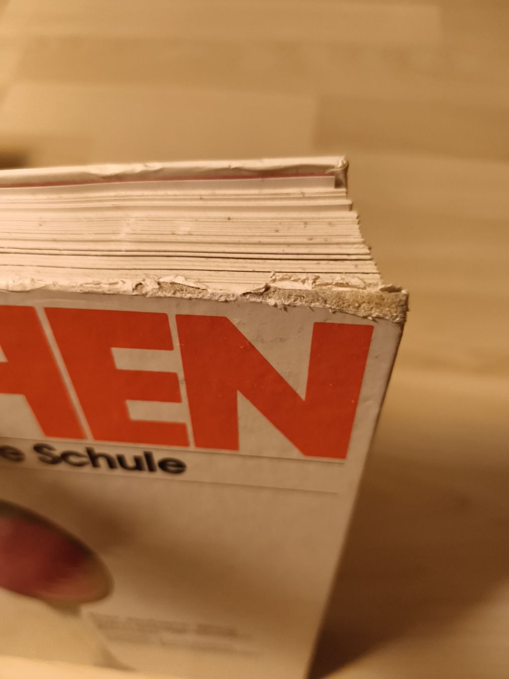 Libri: Kochen: Die neue grosse Schule – Usato da Richterswil venduto da topolone95 1