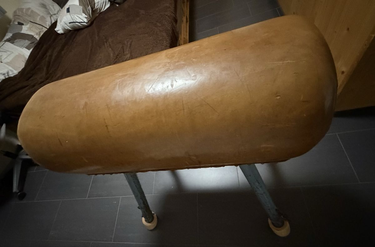 Alder+Eisenhut Hometrainer: Sprungbock – Usato da Schneisingen venduto da hornet17 1
