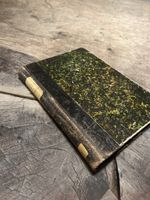 Antikes Buch "Der wilde Jäger" von Julius Wolff, 1877