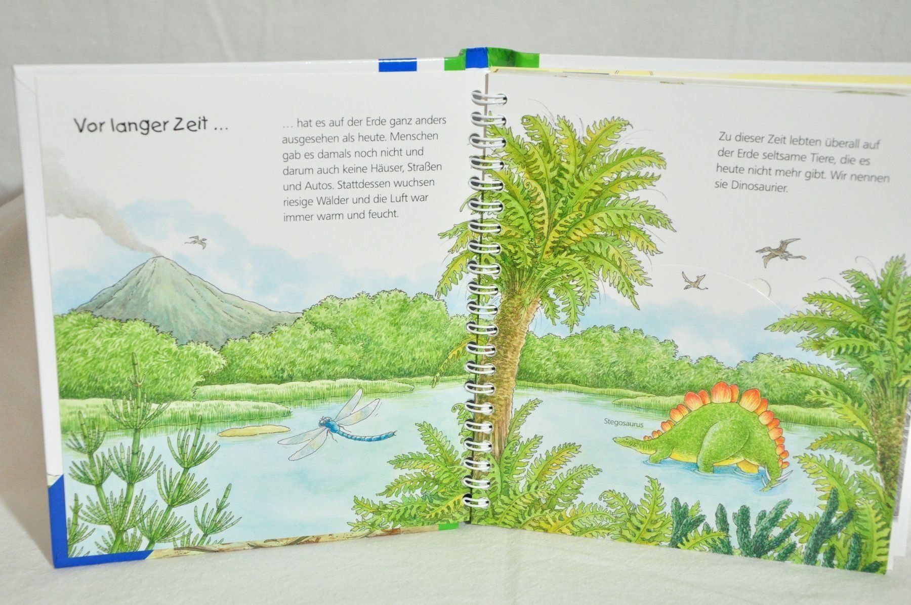 Bücher: Wieso Weshalb Warum? junior: Dinosaurier – Gebraucht aus Lustmühle von Glatisant 1